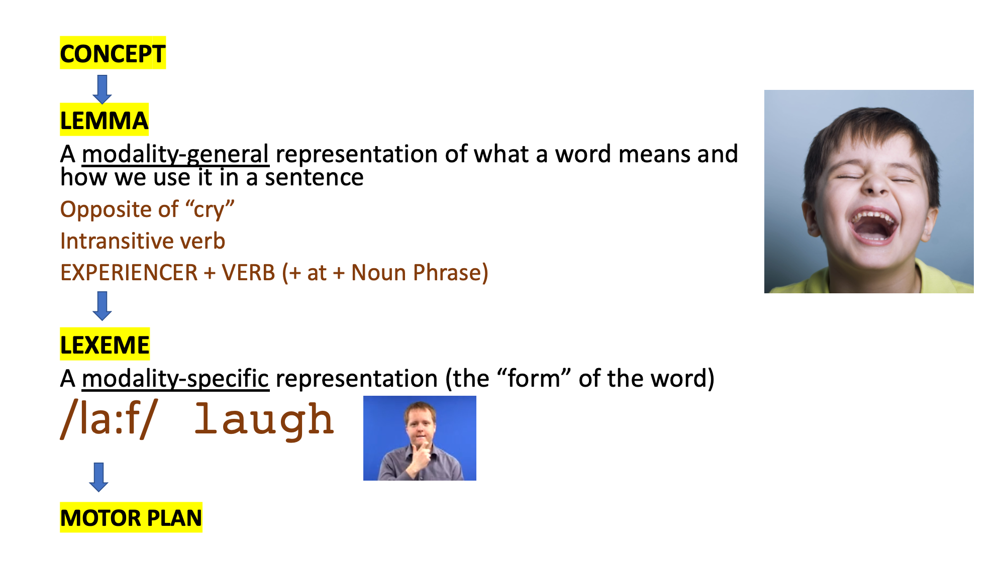 11 Language production Linguistics Handbook